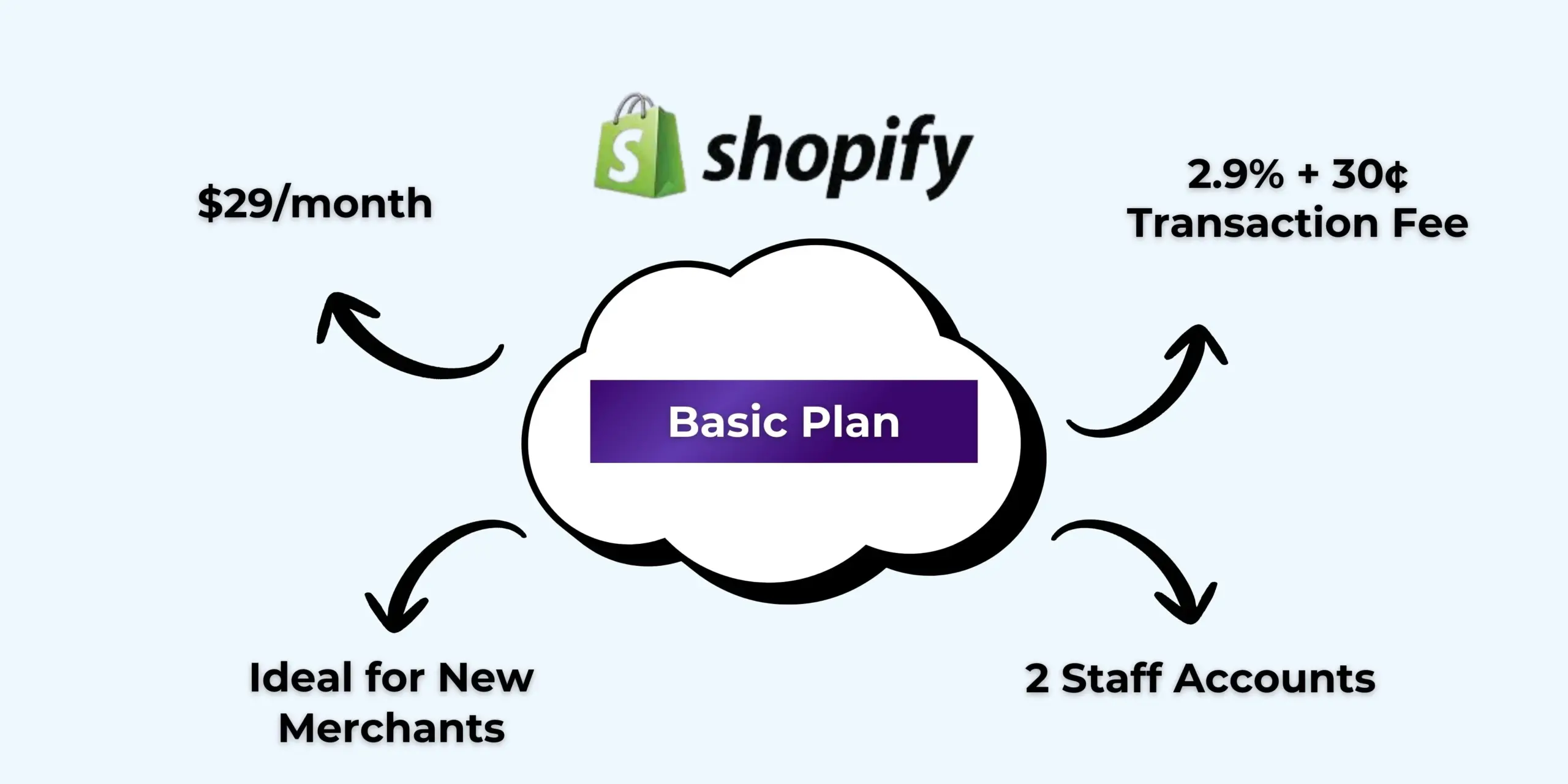 Basic Shopify Plan